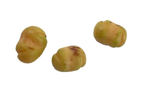 Bambole casa patate - casa, 3