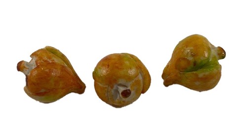 Bambole casa marrone cipolle - bambole,